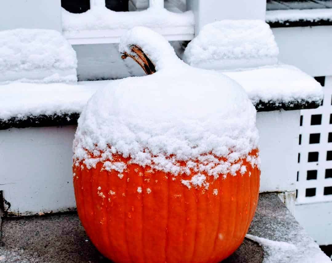 Pumpkin with snow