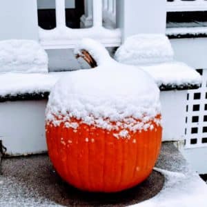 Pumpkin covered with snow