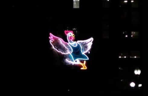 One blue, red and white neon sign of a rooster glowing against a dark background.