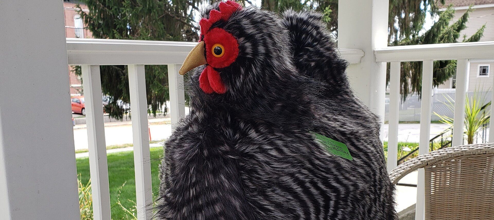 Stuffed chicken with dark grey and white feathers ad red beak and eyes sitting outside on a table